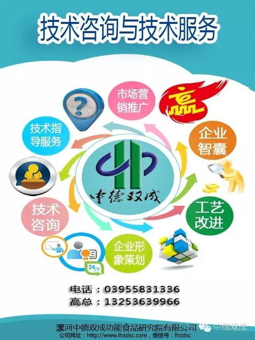 技术咨询与办公服务 现代企业的高效双翼